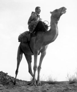 Joaquim Mateu dalt del seu dromedari al massís del Hoggar, al Sàhara, el maig de 1951. Foto: Joaquim Mateu.