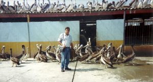 Manel Chiva durant la seva estada a Antofagasta (Xile, 1993).