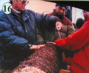 En Santa María de Oya, en el barco preparando los cilindros para el cultivo de Gelidium, 1993.