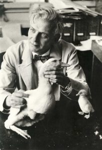 Photographer Ken Heyman did a 1957 report on Duran Reynals in Life Magazine. He appears with ducks, the animals with which he demonstrated that Rous sarcoma was not specific to chickens.