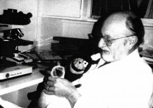 Ribas Mujal a la sala de microscòpia electrònica amb un gatet que tenia en molta estima, 1985.