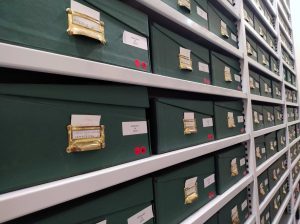 A part of the Isern herbarium of the Royal Botanical Garden of Madrid.